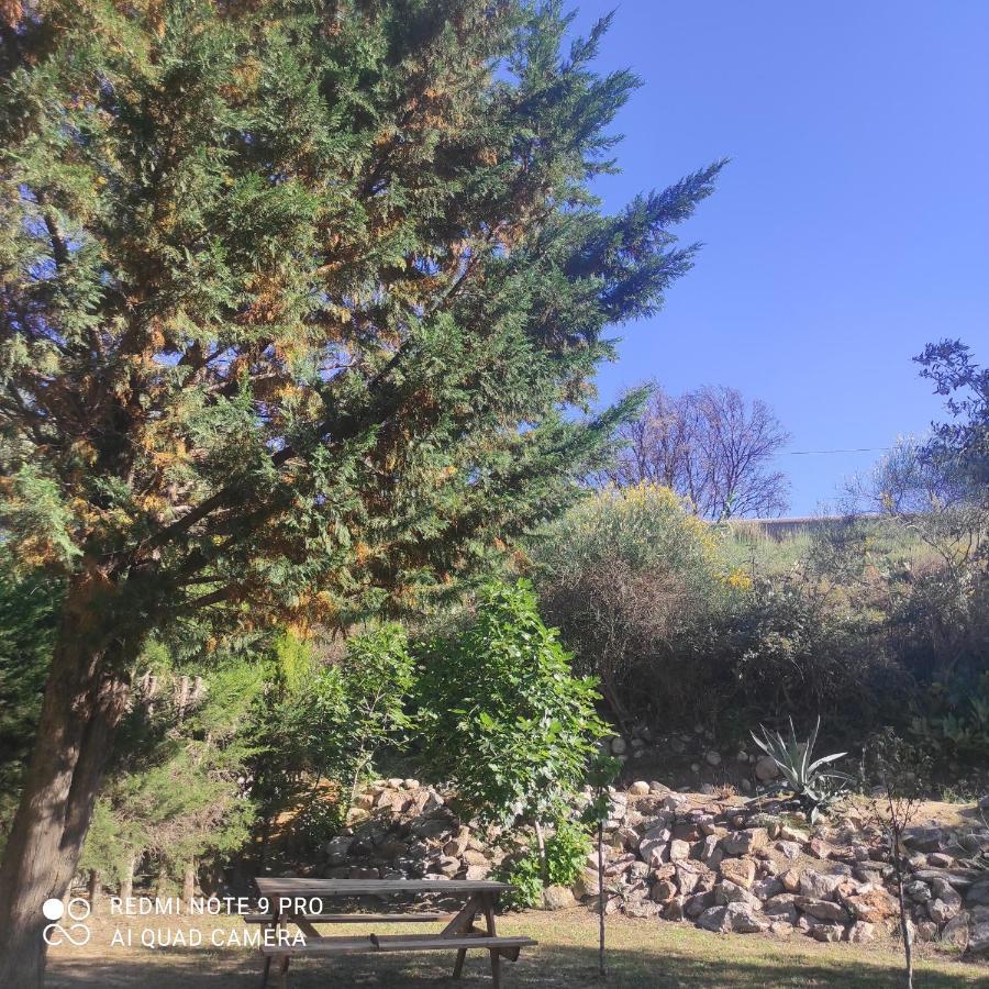 Villa Casaleno gite La Cigale avec wi-fi Millas Extérieur photo